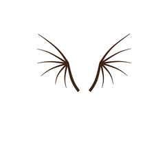 dragon wing bone skeleton