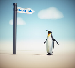 Penguin and a street sign with south pole.