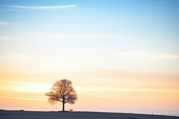 silhouette of a lone tree at sunset on a hill