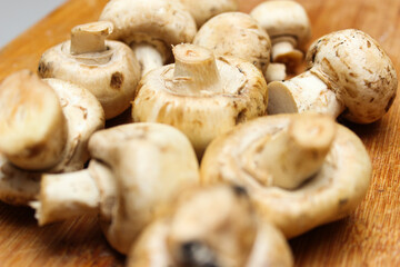 mushrooms on a wooden board