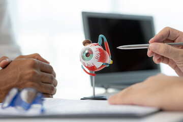 Close-up of an Asian male doctor showing an eyeball model and explaining eye diseases to a male...