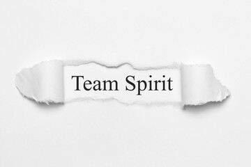Team Spirit	