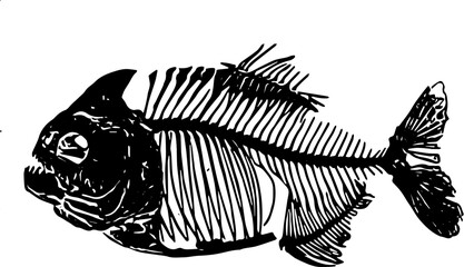 engraving fish