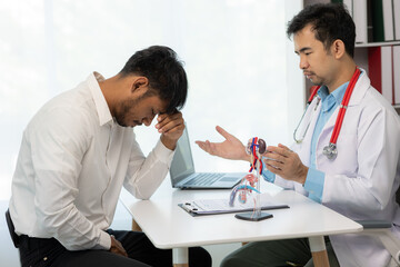 Obraz premium Doctor counseling of male patient with suspected bacterial prostatitis Prostate disease and treatment Anatomical model of the male reproductive system in the hands of a doctor.