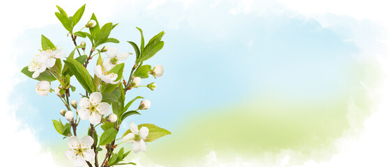 Blooming cherry branch on sky background. Photo collage. Levitation Spring concept. Sping white...
