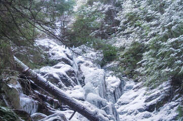 Race Brook Falls Frozen Landscape