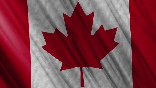 Canada Flag. Canadian Flag Waving with High Quality Texture in 4k National Flag. Seamless Loop Animation of the Canada Flag