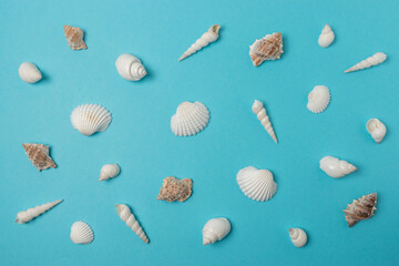 Creative seashell pattern on pastel blue background. Summer minimal concept.