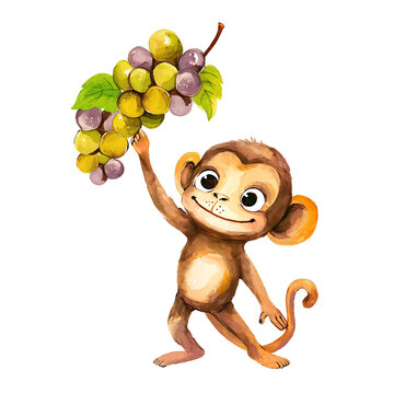 A cute watercolor monkey holds a bunch of grapes in his hand.
