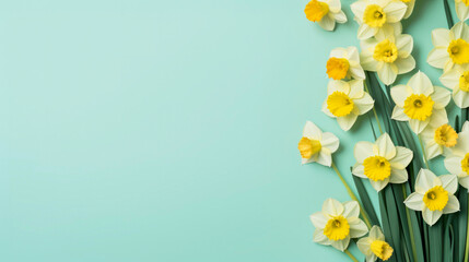 Fresh, spring, clean flat lay composition, diagonal line of vibrant yellow daffodils on soft pastel mint blue background, freshness and renewal of spring. Pastel springtime banner with copy space © GT77