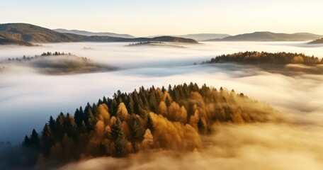 Aerial Perspective of an Autumn Forest's Edge Swathed in Morning Fog