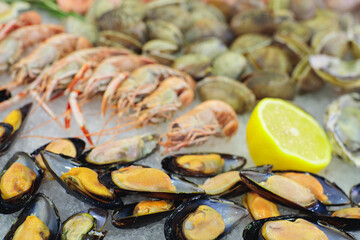 Seafood on ice in a market or fish market