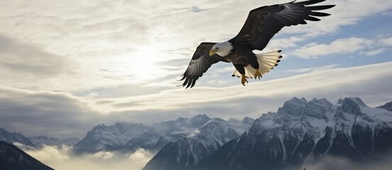 Eagles Soaring Gracefully in the Boundless Skies. Generative AI