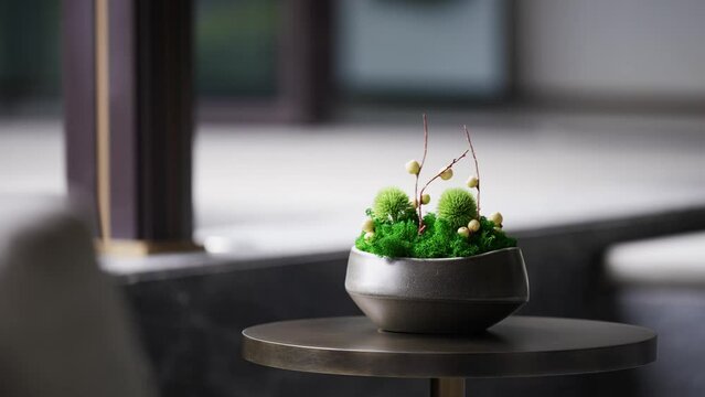 bonsai on table