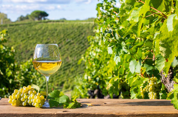 Verre de vin blanc dans les vignes et grappe de raisin dans un vignoble en France.