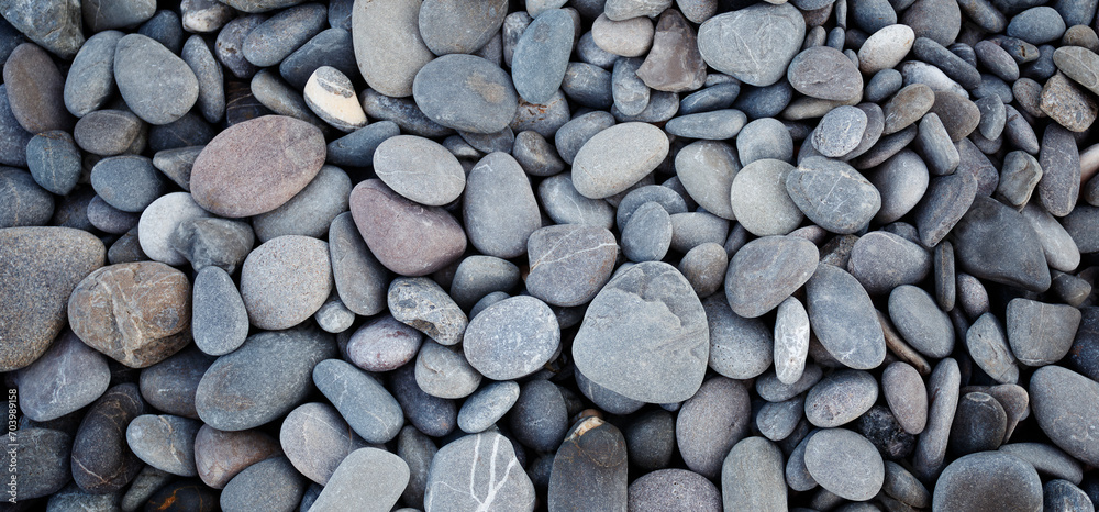 Poster smooth round pebbles texture background. pebble sea beach close-up, dark wet pebble and gray dry peb