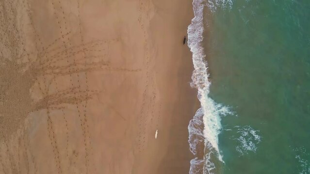 Top view beautiful beach with golden sand washed by foamy ocean. Dogs running