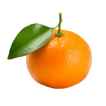 fresh organic satsuma cut in half sliced with leaves isolated on white background with clipping path