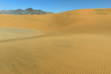 Fototapeta na wymiar SAND DUNES IN THE SAHARA DESERT AROUND TADRART ROUGE PROVINCE AND DJANET OASIS IN ALGERIA