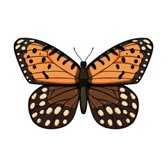 wing butterfly cartoon. animal spring, fly pink, silhouette green wing butterfly sign. isolated symbol vector illustration