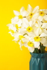 Spring Easter background with daffodils bouquet in vase on yellow background. Vertical photo