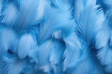  a bunch of blue feathers that are very close to the top of the image, with a blurry effect to the bottom of the feathers and bottom of the image.