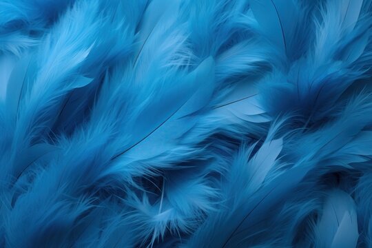  a close up of a bunch of blue feathers with a blurry image of the feathers on the bottom of the photo and the bottom of the feathers on the bottom of the image.