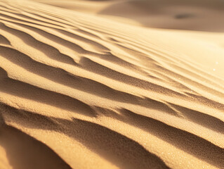 Fototapeta na wymiar Sand Texture With Golden Light And Shadows.