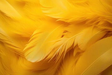  a close up of a yellow background with lots of feathers in the foreground and a blurry image of the back side of the background of a yellow bird's feathers.