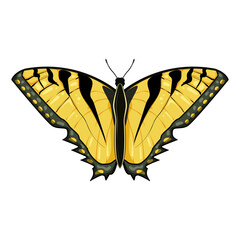 silhouette butterfly cartoon. green orange, monarch color, watercolor flower silhouette butterfly sign. isolated symbol vector illustration