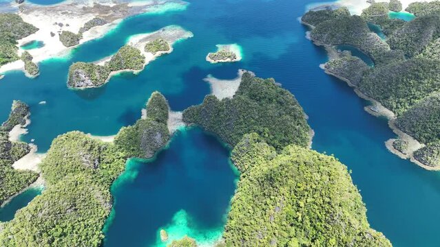 Scenic limestone islands, fringed by coral reefs, rise from the amazing seascape in Raja Ampat, Indonesia. These islands' reefs, and the surrounding seas, support extraordinary marine biodiversity.