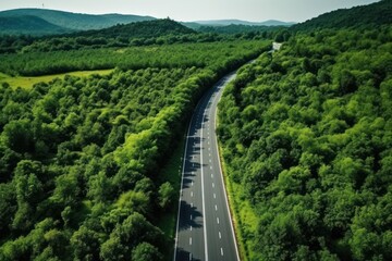  an aerial view of a road in the middle of a lush green valley with trees on both sides of the road and mountains on the other side of the road. - obrazy, fototapety, plakaty