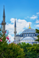 Fototapeta na wymiar Istanbul, Turkey. Blue Mosque in the historical district of Sultanahmet against the backdrop of the blue sky close -up
