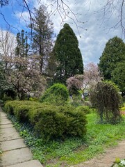 path in the garden