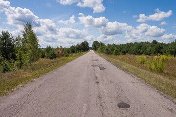 An asphalt road runs through the forest