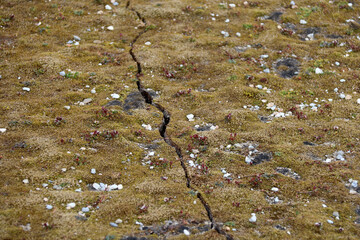fissure du permafrost