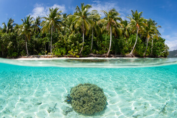 Clear, calm, warm water surrounds an idyllic tropical island in Raja Ampat, Indonesia. This remote...