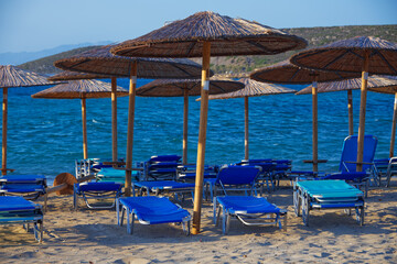 Sunbeds and parasols for the tourists