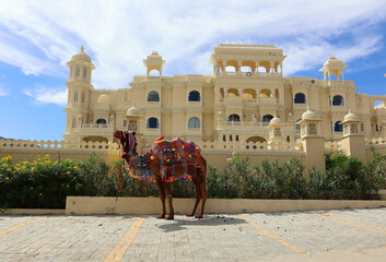 Decorated camel for tourists ride in Rajasthan India Asia - obrazy, fototapety, plakaty