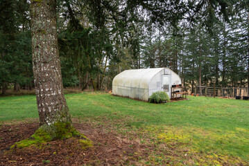 Fototapeta na wymiar Small Greenhouse In Lawn