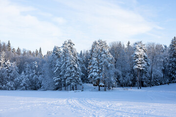 Very cold  January winter day scenery (-21ºC). Sun is shining just above horizon. 