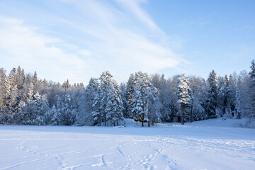 Very cold  January winter day scenery (-21ºC). Sun is shining just above horizon. 