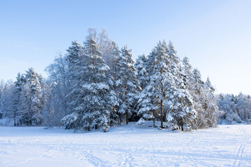 Very cold  January winter day scenery (-21ºC). Sun is shining just above horizon. 