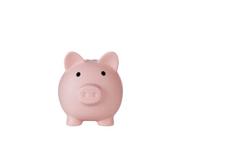 Piggy bank pig on isolated white background close up