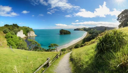 Papier Peint photo Cathedral Cove coastline of coromandel peninsula with footpath to cathedral cove new zealand