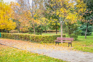 Autumn park on a cloudy day. Yellow leaves on the trees and on the park path. Low gray clouds in the sky.The beginning of autumn in the park. Cloudy day.