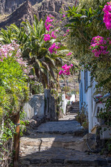 Camino en el interior del pueblo de Masca en la isla de Tenerife, Canarias