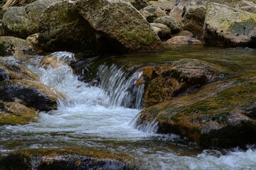 Naklejka na ściany i meble waterfalls on a stream in the forest
