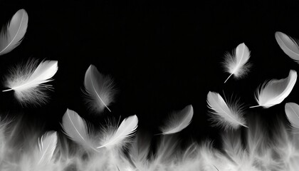 group of soft and light white feathers floating in the dark feather abstract on black background
