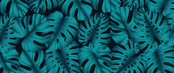 Botanical luxury background with turquoise monstera leaves. Dark tropical background, poster, banner, wallpaper